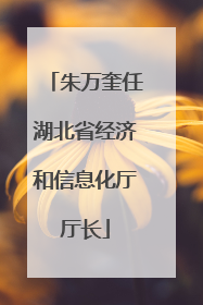 朱万奎任湖北省经济和信息化厅厅长