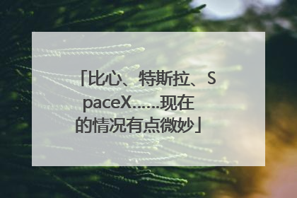 比心、特斯拉、SpaceX……现在的情况有点微妙