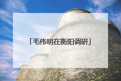 毛伟明在衡阳调研