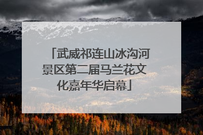武威祁连山冰沟河景区第二届马兰花文化嘉年华启幕