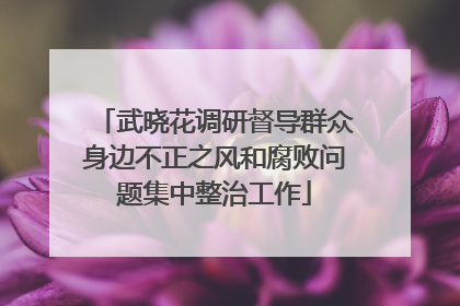 武晓花调研督导群众身边不正之风和腐败问题集中整治工作