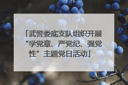 武警娄底支队组织开展“学党章、严党纪、强党性”主题党日活动