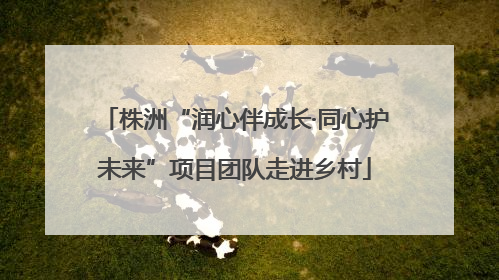 株洲“润心伴成长·同心护未来”项目团队走进乡村