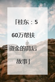 桂东：560万帮扶资金的背后故事