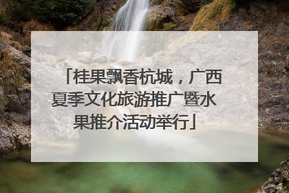 桂果飘香杭城，广西夏季文化旅游推广暨水果推介活动举行