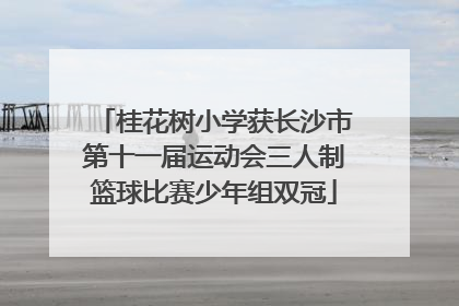 桂花树小学获长沙市第十一届运动会三人制篮球比赛少年组双冠