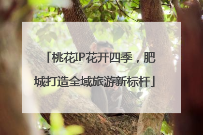 桃花IP花开四季，肥城打造全域旅游新标杆