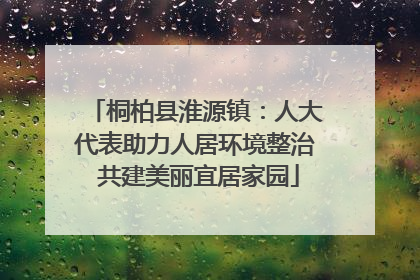 桐柏县淮源镇：人大代表助力人居环境整治 共建美丽宜居家园