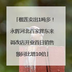 榴莲卖出1吨多！永辉河北首家胖东来调改店开业首日销售额同比增10倍