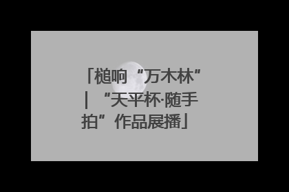 槌响“万木林”｜“天平杯·随手拍”作品展播