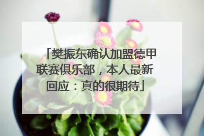 樊振东确认加盟德甲联赛俱乐部，本人最新回应：真的很期待