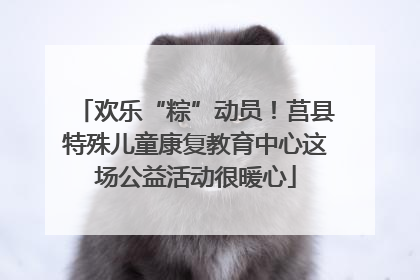 欢乐“粽”动员！莒县特殊儿童康复教育中心这场公益活动很暖心