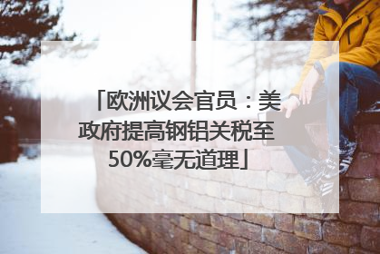 欧洲议会官员：美政府提高钢铝关税至50%毫无道理