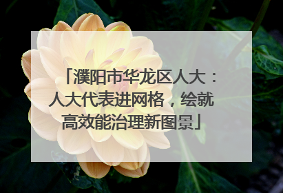 濮阳市华龙区人大：人大代表进网格，绘就高效能治理新图景