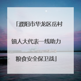 濮阳市华龙区岳村镇人大代表一线助力粮食安全保卫战