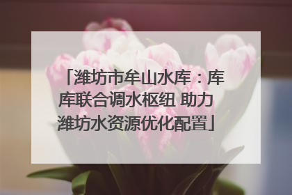 潍坊市牟山水库：库库联合调水枢纽 助力潍坊水资源优化配置