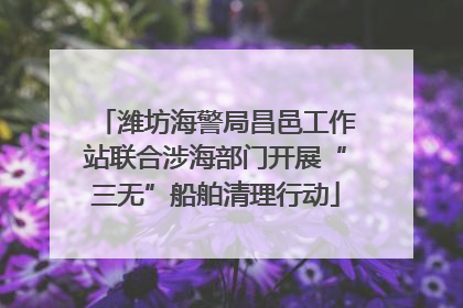 潍坊海警局昌邑工作站联合涉海部门开展“三无”船舶清理行动
