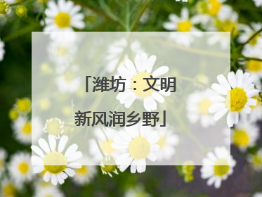 潍坊：文明新风润乡野