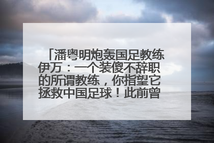 潘粤明炮轰国足教练伊万：一个装傻不辞职的所谓教练，你指望它拯救中国足球！此前曾多次发文评价国足
