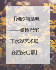 潮汐与圣咏——黎玲巴尔干水彩艺术展在西安启幕