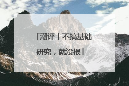 潮评丨不搞基础研究，就没根