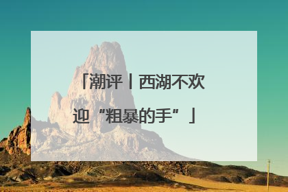 潮评丨西湖不欢迎“粗暴的手”