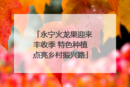 永宁火龙果迎来丰收季 特色种植点亮乡村振兴路