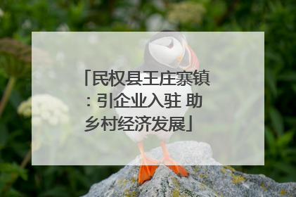 民权县王庄寨镇：引企业入驻 助乡村经济发展