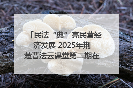 民法“典”亮民营经济发展 2025年荆楚普法云课堂第二期在武汉客厅开讲