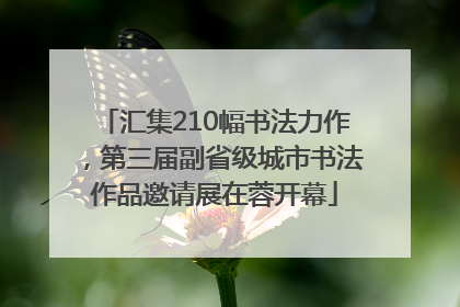汇集210幅书法力作，第三届副省级城市书法作品邀请展在蓉开幕