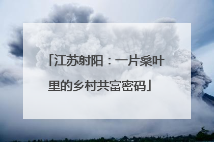 江苏射阳：一片桑叶里的乡村共富密码