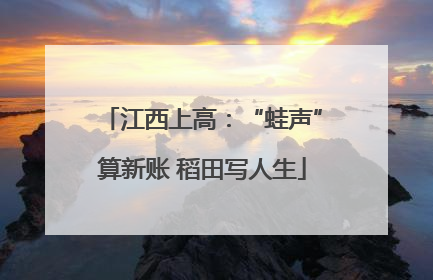 江西上高：“蛙声”算新账 稻田写人生