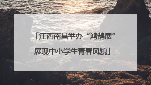 江西南昌举办“鸿鹄展” 展现中小学生青春风貌