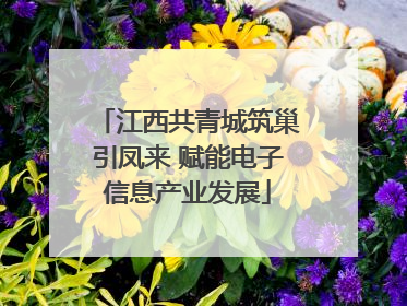 江西共青城筑巢引凤来 赋能电子信息产业发展