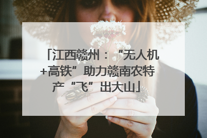 江西赣州：“无人机+高铁”助力赣南农特产“飞”出大山