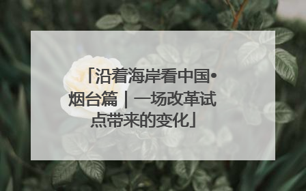 沿着海岸看中国•烟台篇｜一场改革试点带来的变化