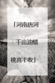 河南唐河：千亩油蟠桃喜丰收