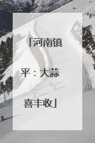 河南镇平：大蒜喜丰收