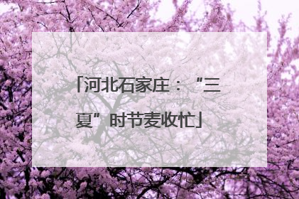 河北石家庄：“三夏”时节麦收忙