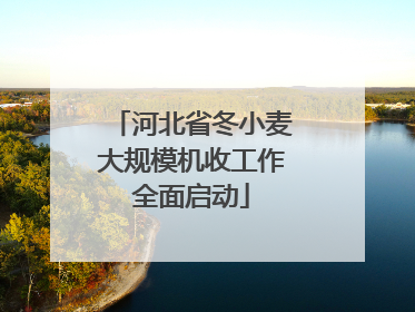 河北省冬小麦大规模机收工作全面启动