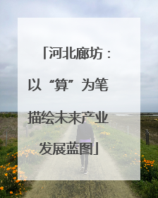 河北廊坊：以“算”为笔描绘未来产业发展蓝图
