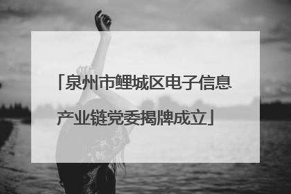 泉州市鲤城区电子信息产业链党委揭牌成立