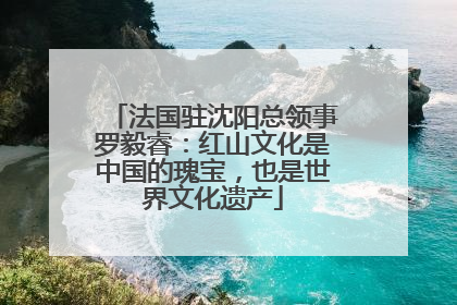 法国驻沈阳总领事罗毅睿：红山文化是中国的瑰宝，也是世界文化遗产