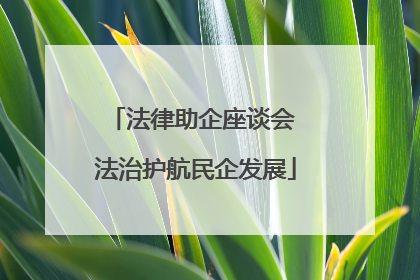 法律助企座谈会 法治护航民企发展