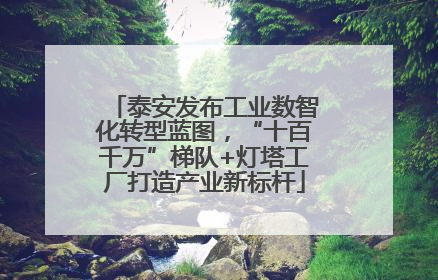 泰安发布工业数智化转型蓝图，“十百千万”梯队+灯塔工厂打造产业新标杆