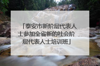 泰安市新阶层代表人士参加全省新的社会阶层代表人士培训班