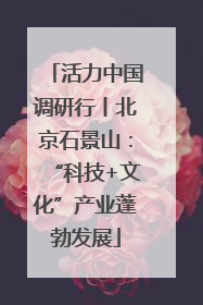 活力中国调研行丨北京石景山：“科技+文化”产业蓬勃发展
