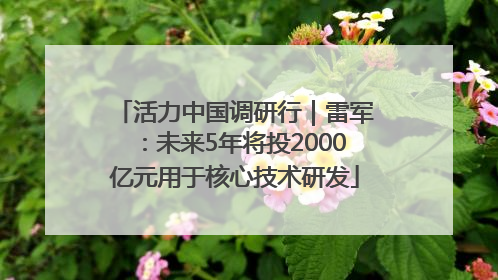 活力中国调研行｜雷军：未来5年将投2000亿元用于核心技术研发