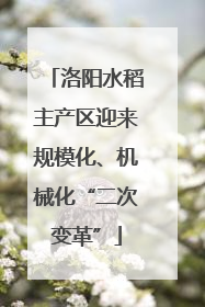 洛阳水稻主产区迎来规模化、机械化“二次变革”