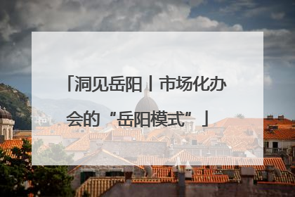 洞见岳阳丨市场化办会的“岳阳模式”